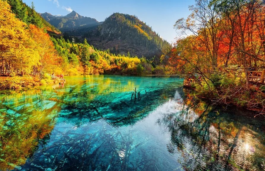 Unesco-Welterbestätte Jiuzhaigou in der Nähe von Chengdu: tieftürkiser See mit bunten Bäumen am Ufer