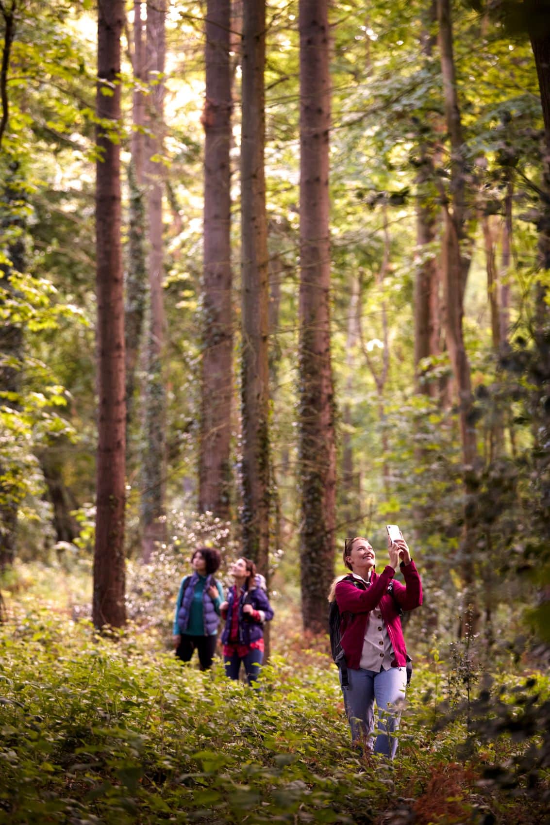 Gruppe junger Leute hat Spaß im Wald 