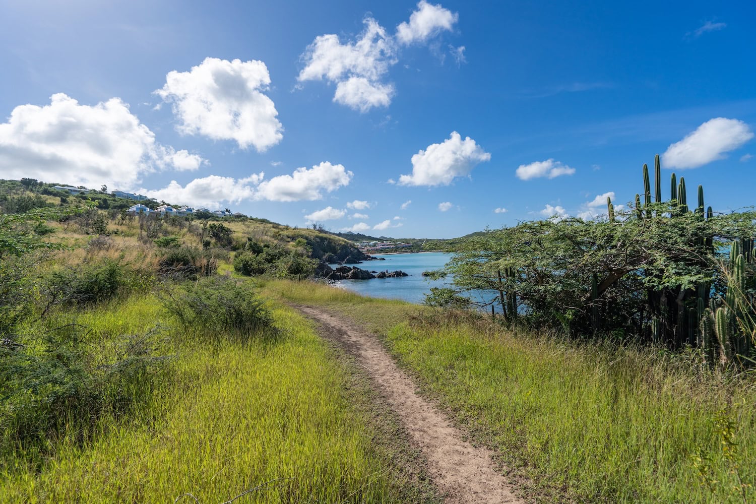Wanderweg auf St. Maarten