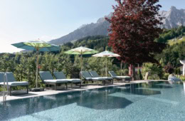 Pool auf der Terrasse im Hotel Der Löwe