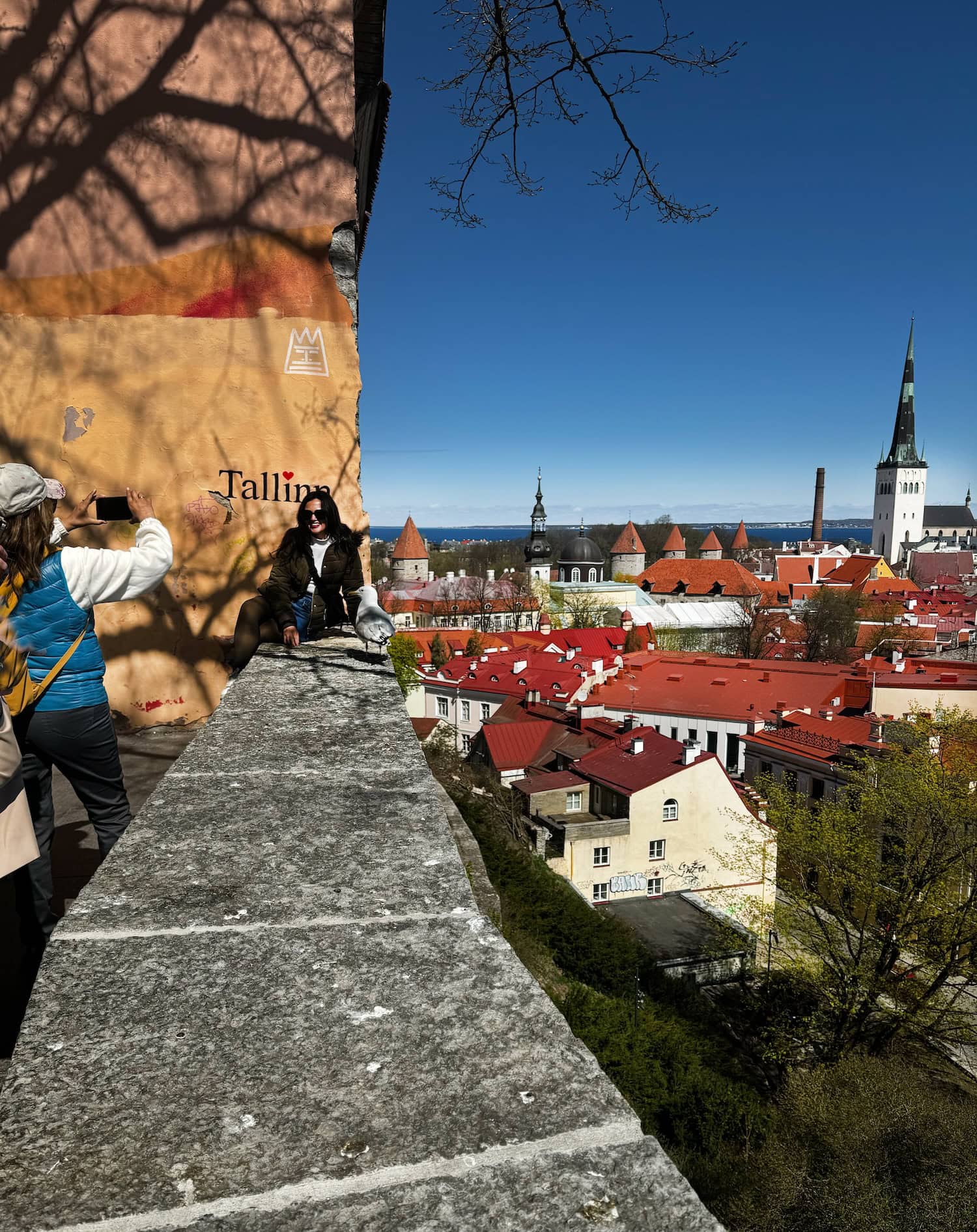 Aussicht auf die Altstadt von Tallinn
