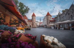 Altstadt von Tallinn