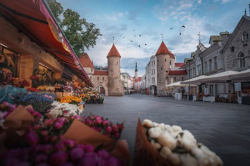 Altstadt von Tallinn