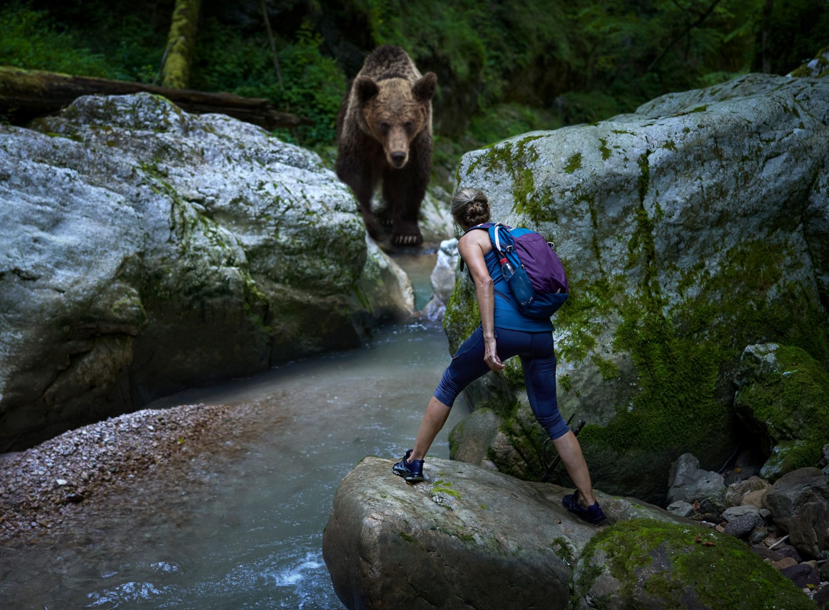 Wanderin begegnet Grizzly-Bär an einem Bach 