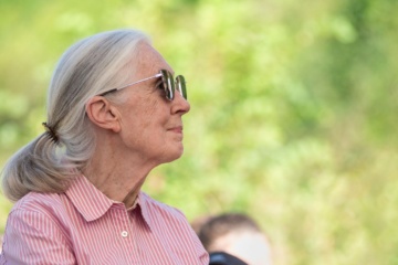 Jane Goodall während eines Besuchs in Budapest.