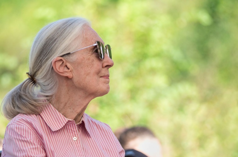Jane Goodall während eines Besuchs in Budapest.