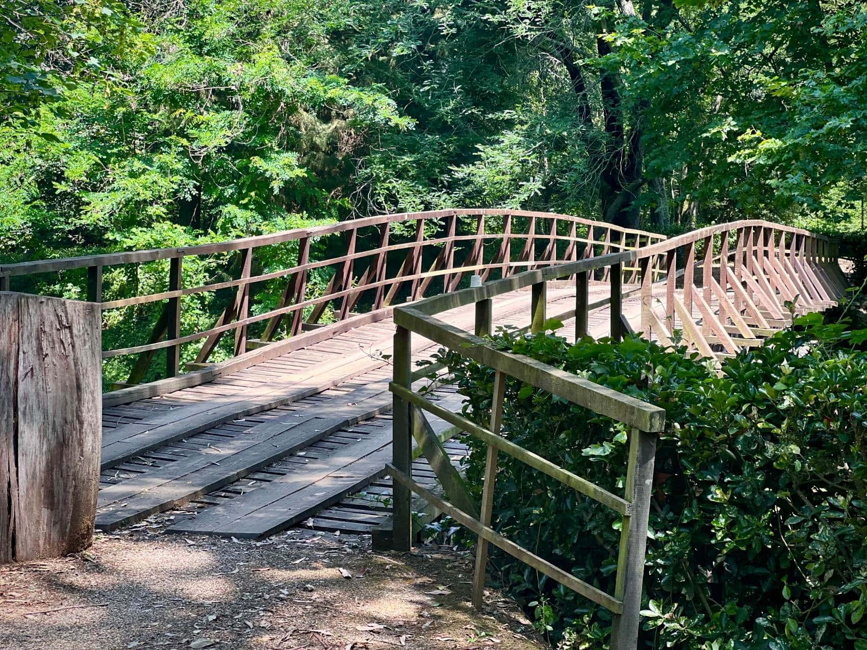 Holzbrücke im Mata Nacional do Choupal in Coimbra