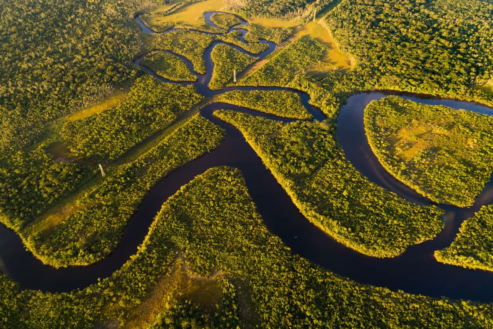 Amazonas-Regenwald bei Belem aus der Vogelperspektive