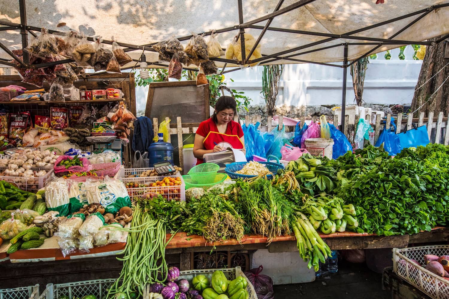 Morning Market in Luang Prabang in Laos