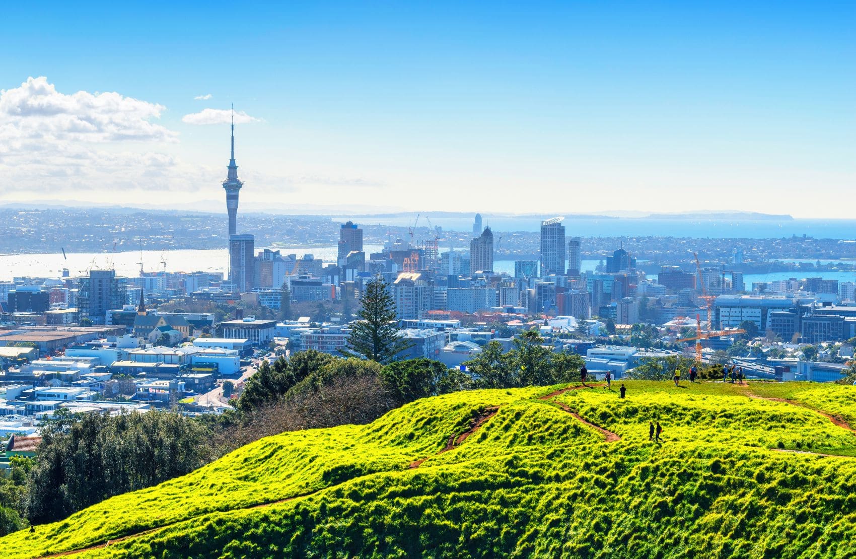 Aussicht auf Auckland vom Vulkankegel Mount Eden 