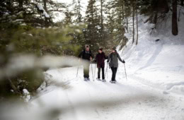 Skiwanderer im Tiroler Oberland im Wald