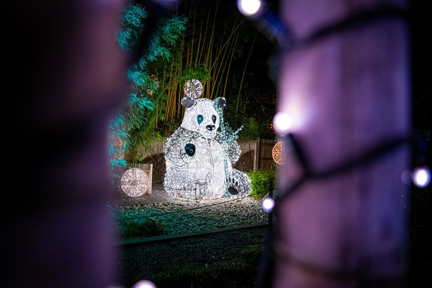 Pandabär als Illumination beim Lumagica Festival in Schenna
