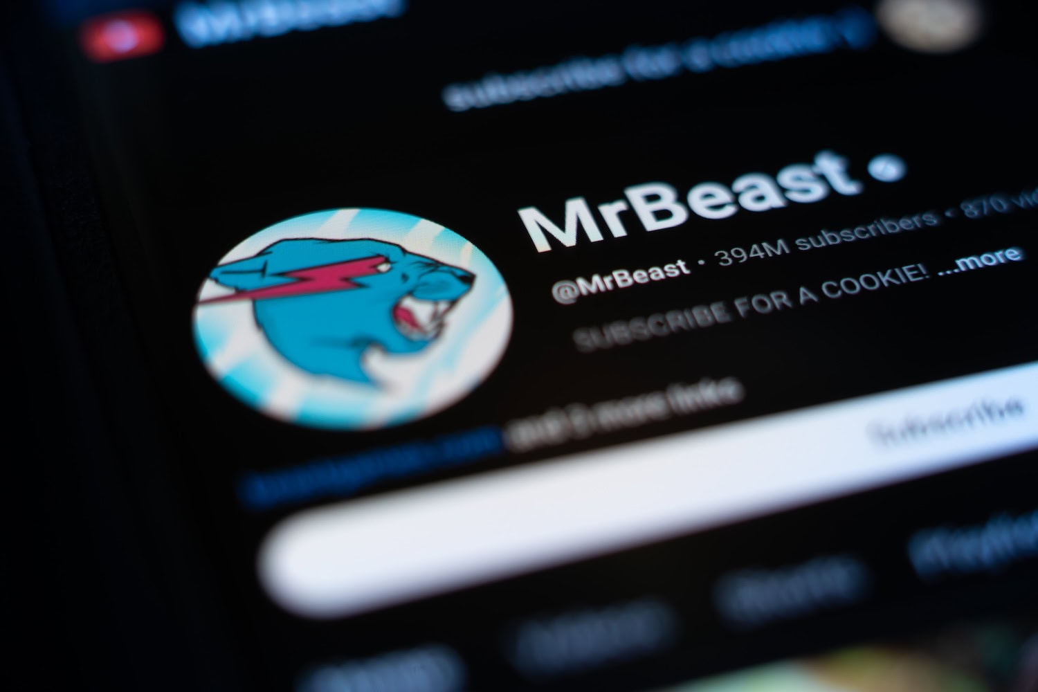 Mr Beast Account Infos