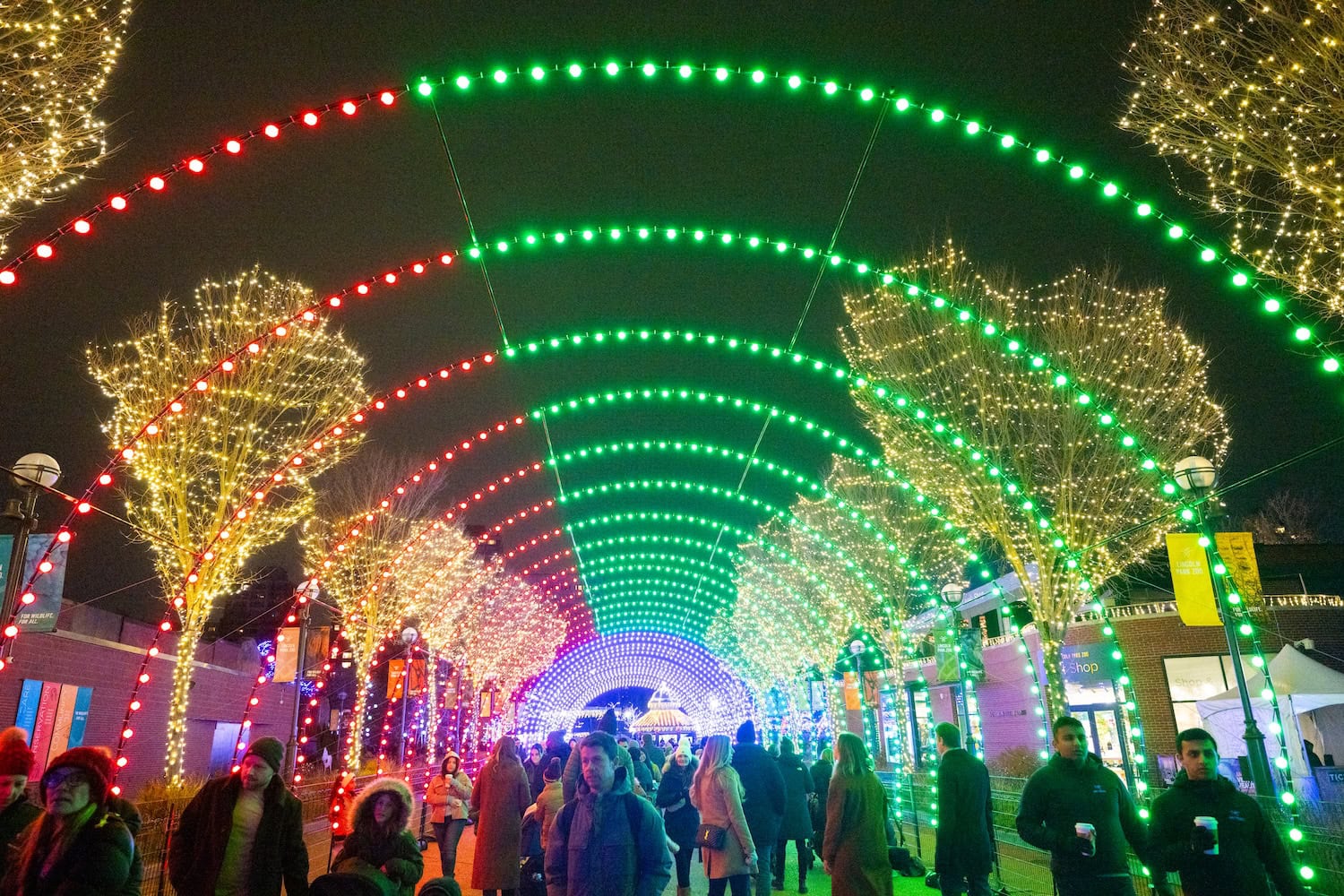 Zoo Lights in Chicago