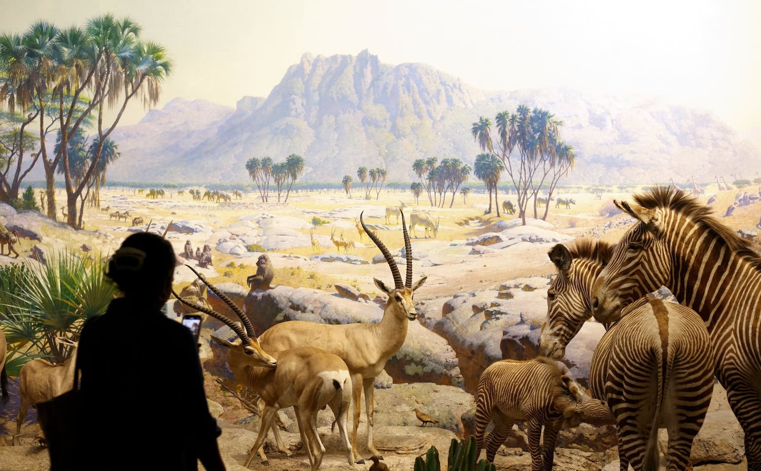 Mensch vor einem Gemälde im Natural History Museum in New York