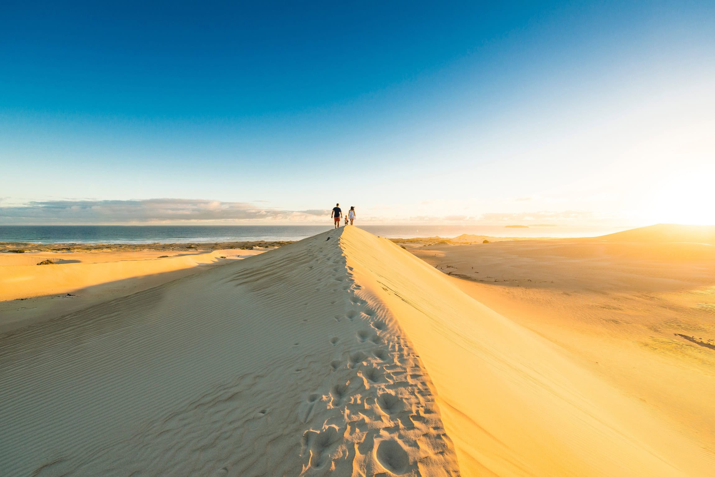 Die Gunyah Beach Sand Dunes in Südaustralien.