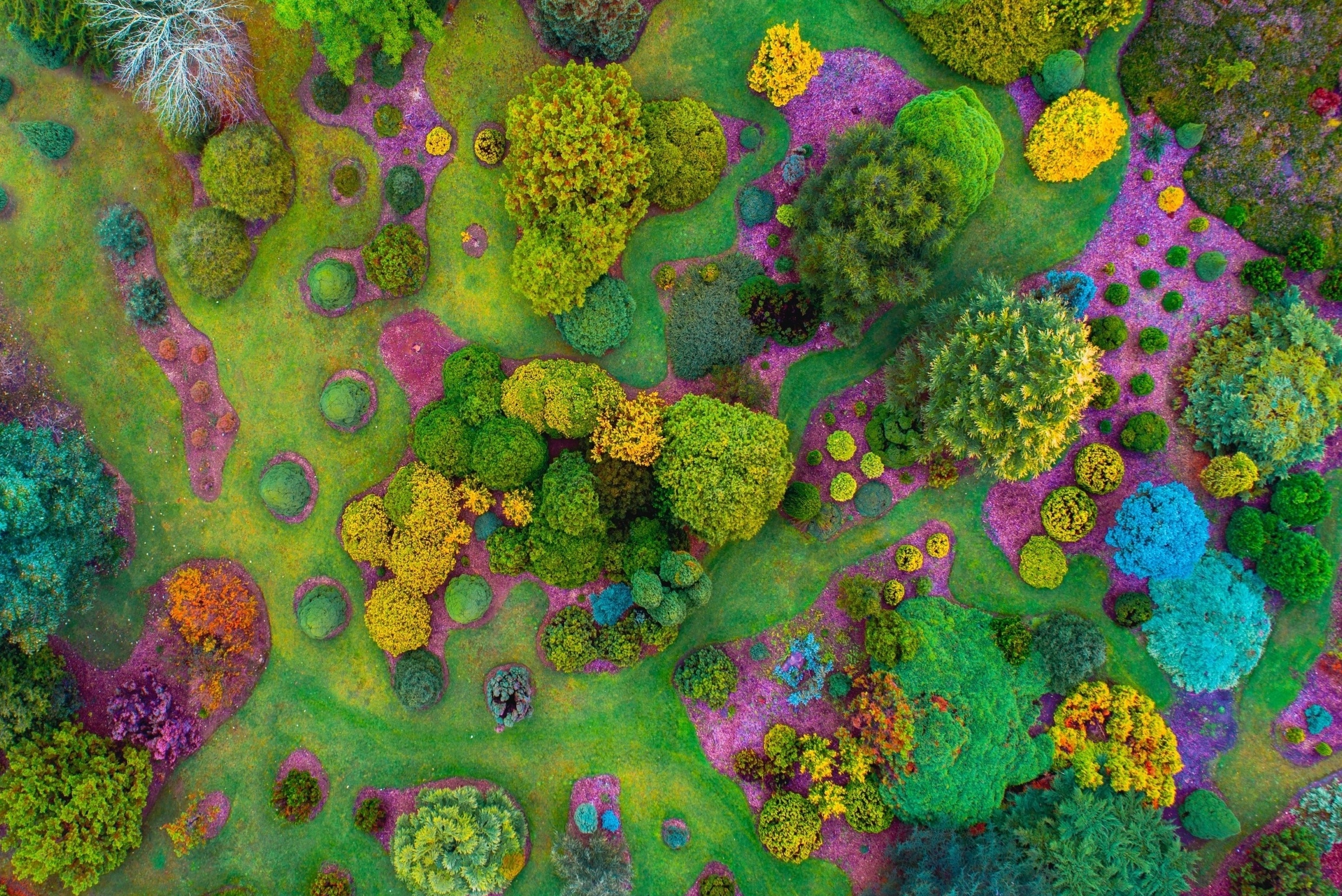 Der Mount Lofty Botanic Garden in Südaustralien.