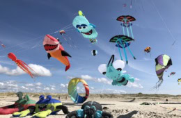 Drachfest am Ordinger Strand in St. Peter-Ording