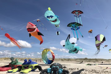 Drachfest am Ordinger Strand in St. Peter-Ording