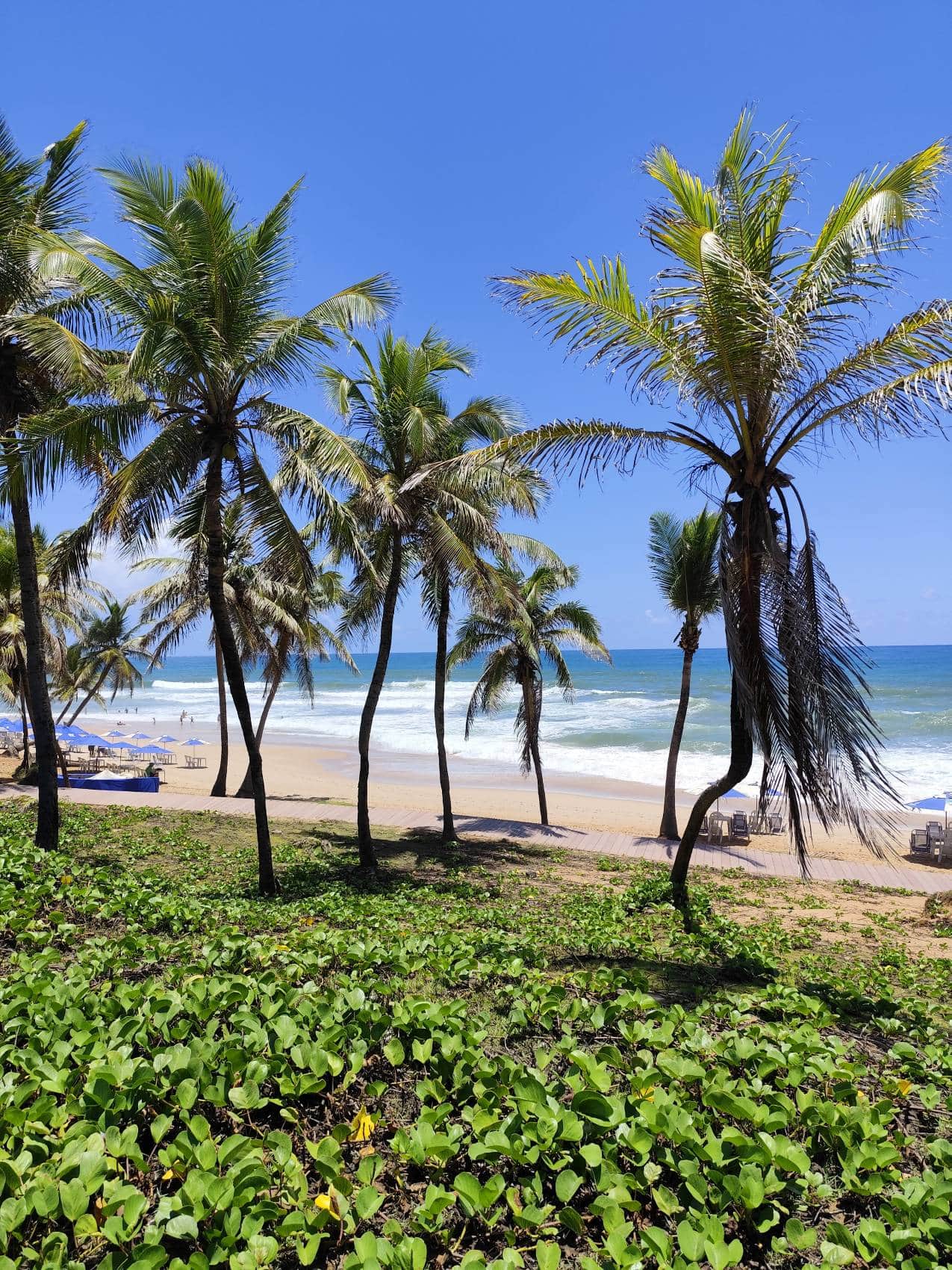 Praia do Flamengo in Salvador, Brasilien 