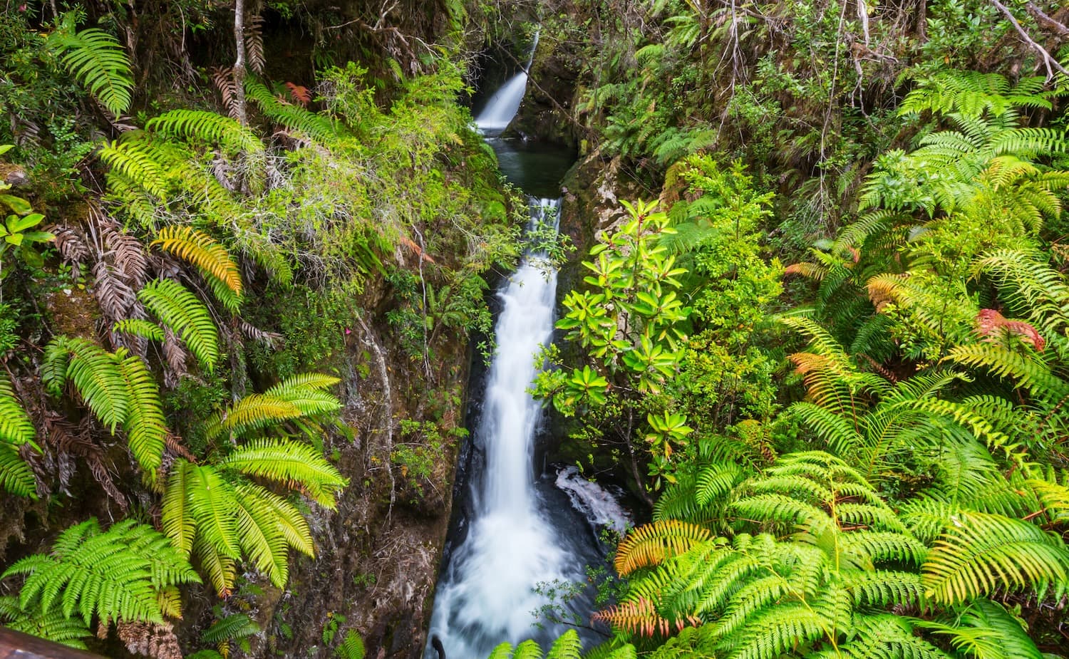 Regenwald und Wasserfall in Chile 
