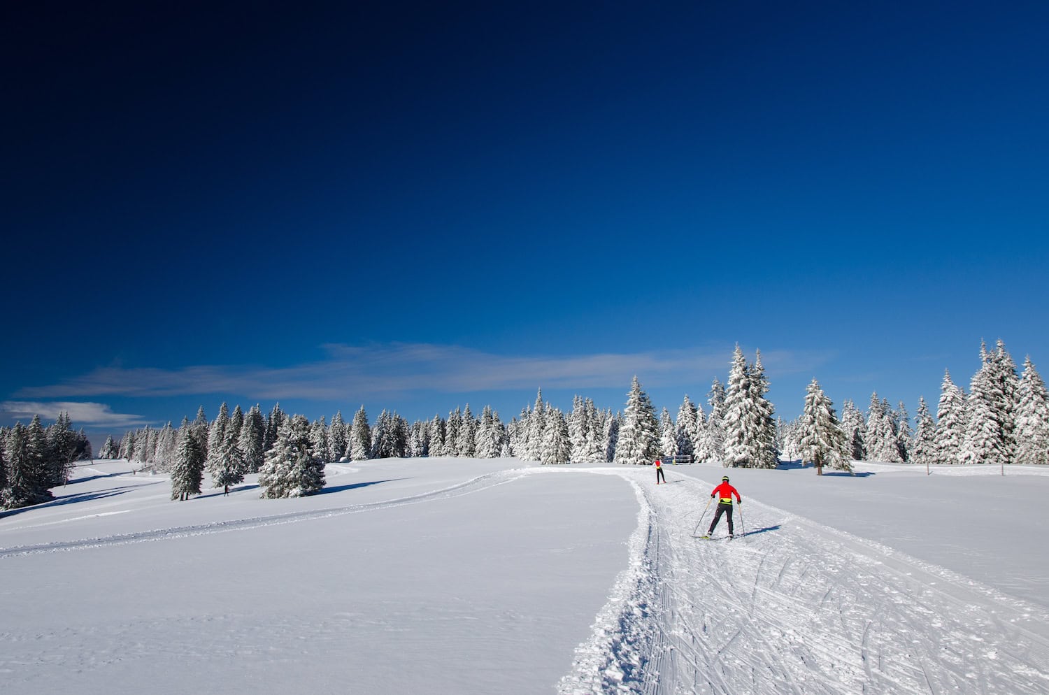 Langlaufen im Skigebiet Rogla