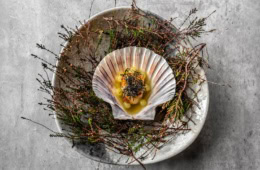 Jakobsmuschel auf einem Teller angerichtet