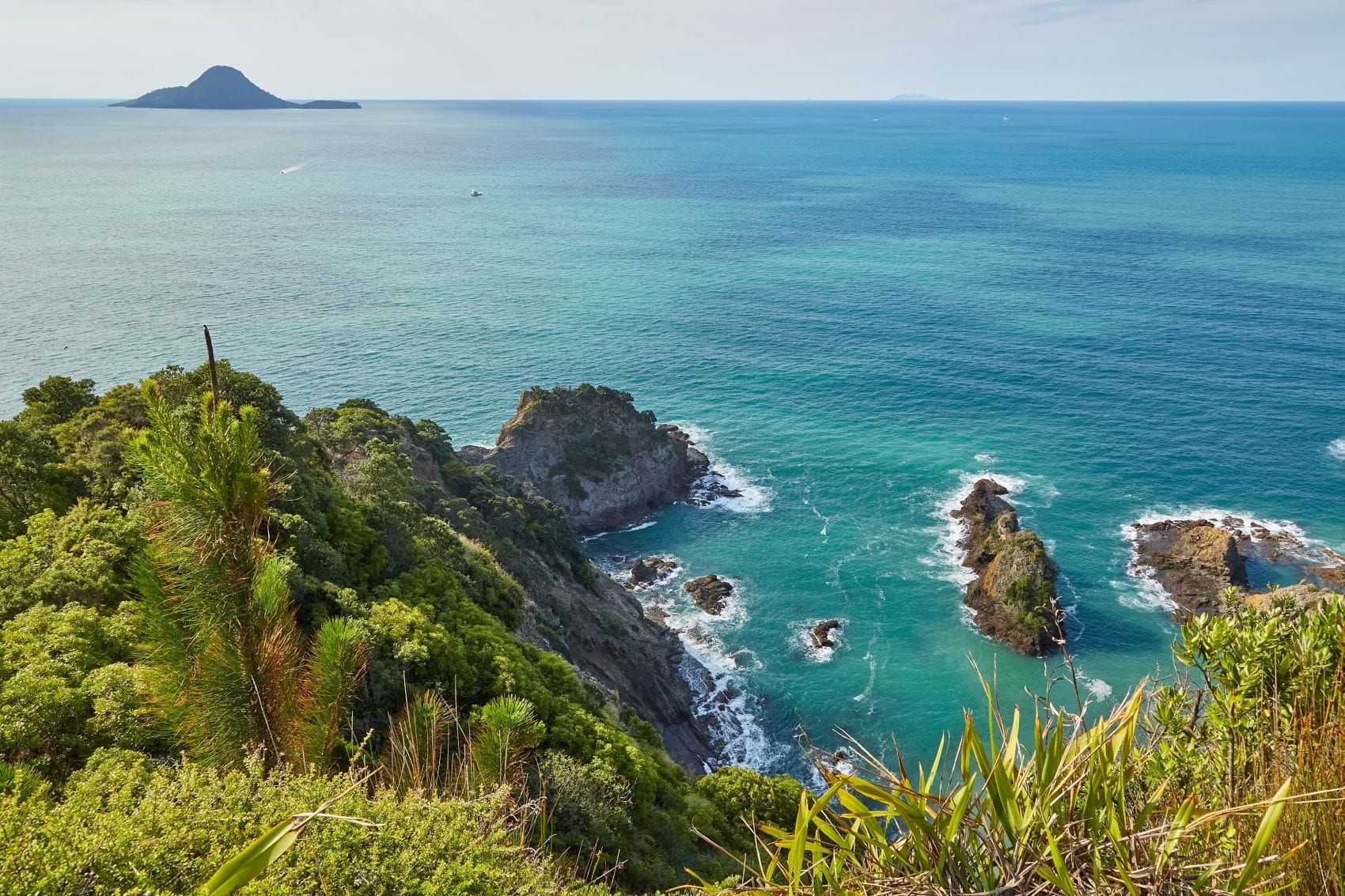 Wanderweg entlang der Küste an der Bay of Plenty in Neuseeland 