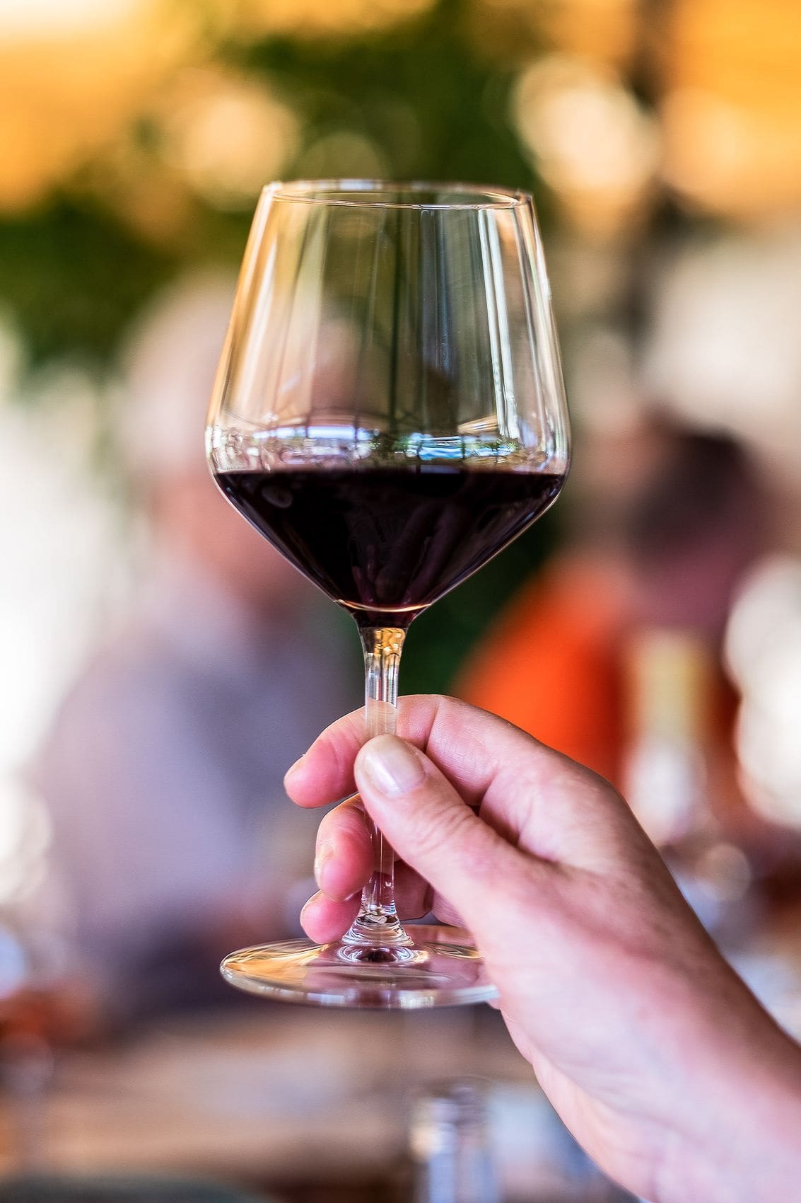Person hält ein Glas Rotwein aus der Region Ronda in der Hand