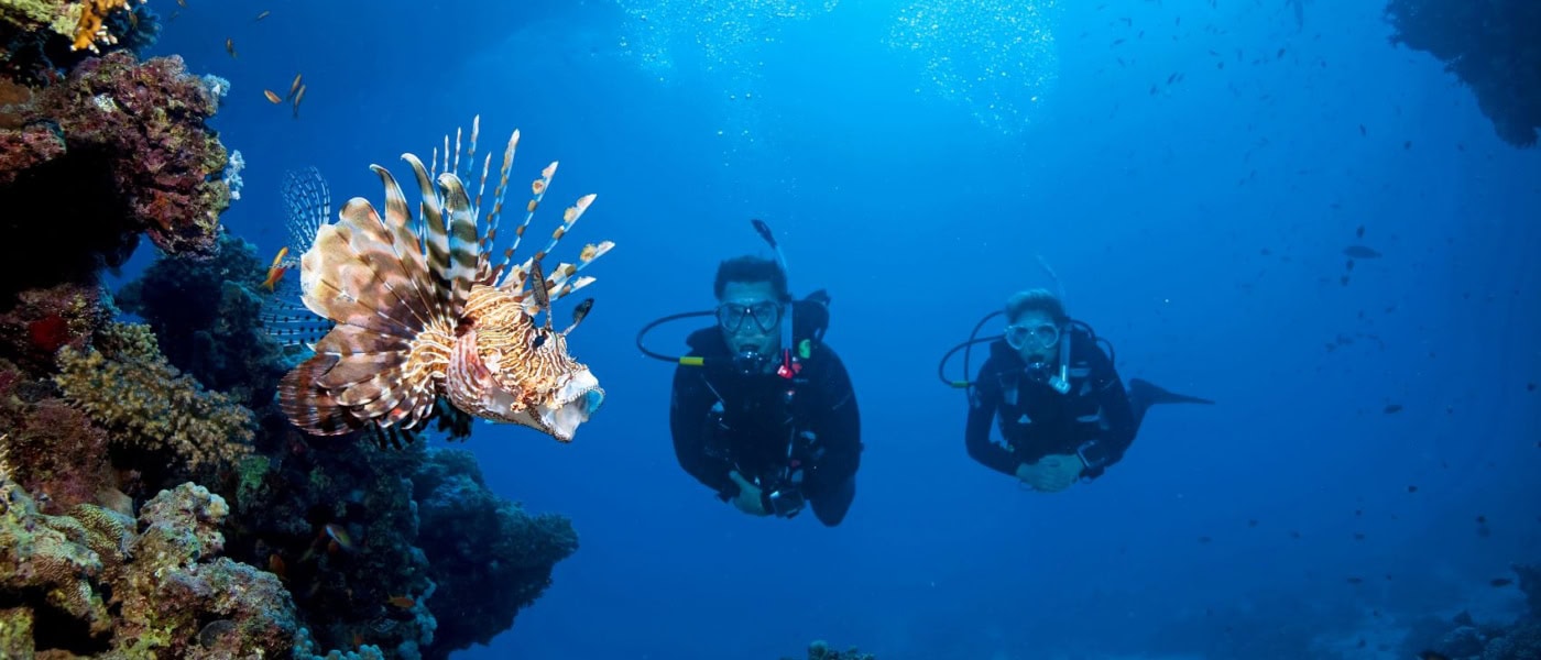 Mann und Frau beim Tauchen in El Gouna