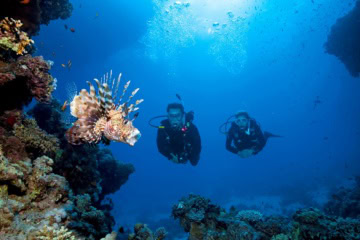 Mann und Frau beim Tauchen in El Gouna