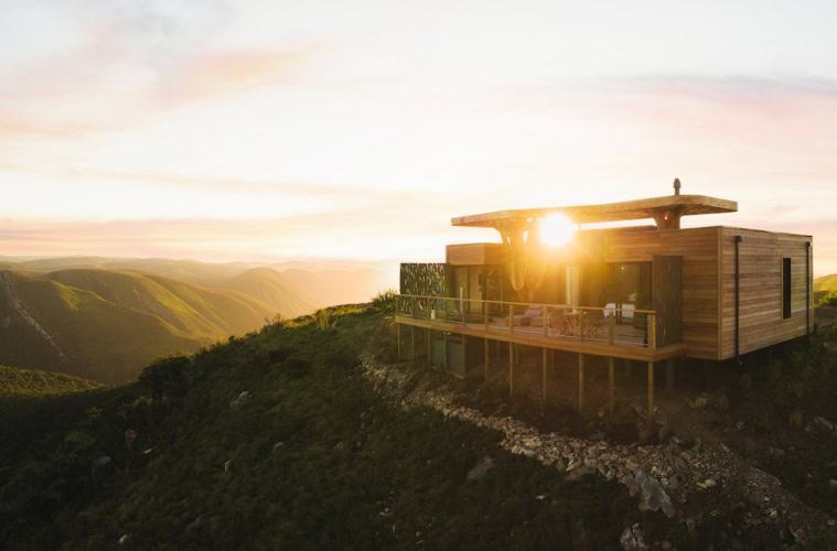 Mantis Hiddn in Addo Lodge in Südafrika