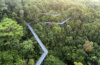 Unterwegs auf dem Southern Ridges Forest Walk, die mehr als zehn Kilometer durch Singapur führen