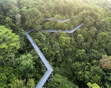 Unterwegs auf dem Southern Ridges Forest Walk, die mehr als zehn Kilometer durch Singapur führen