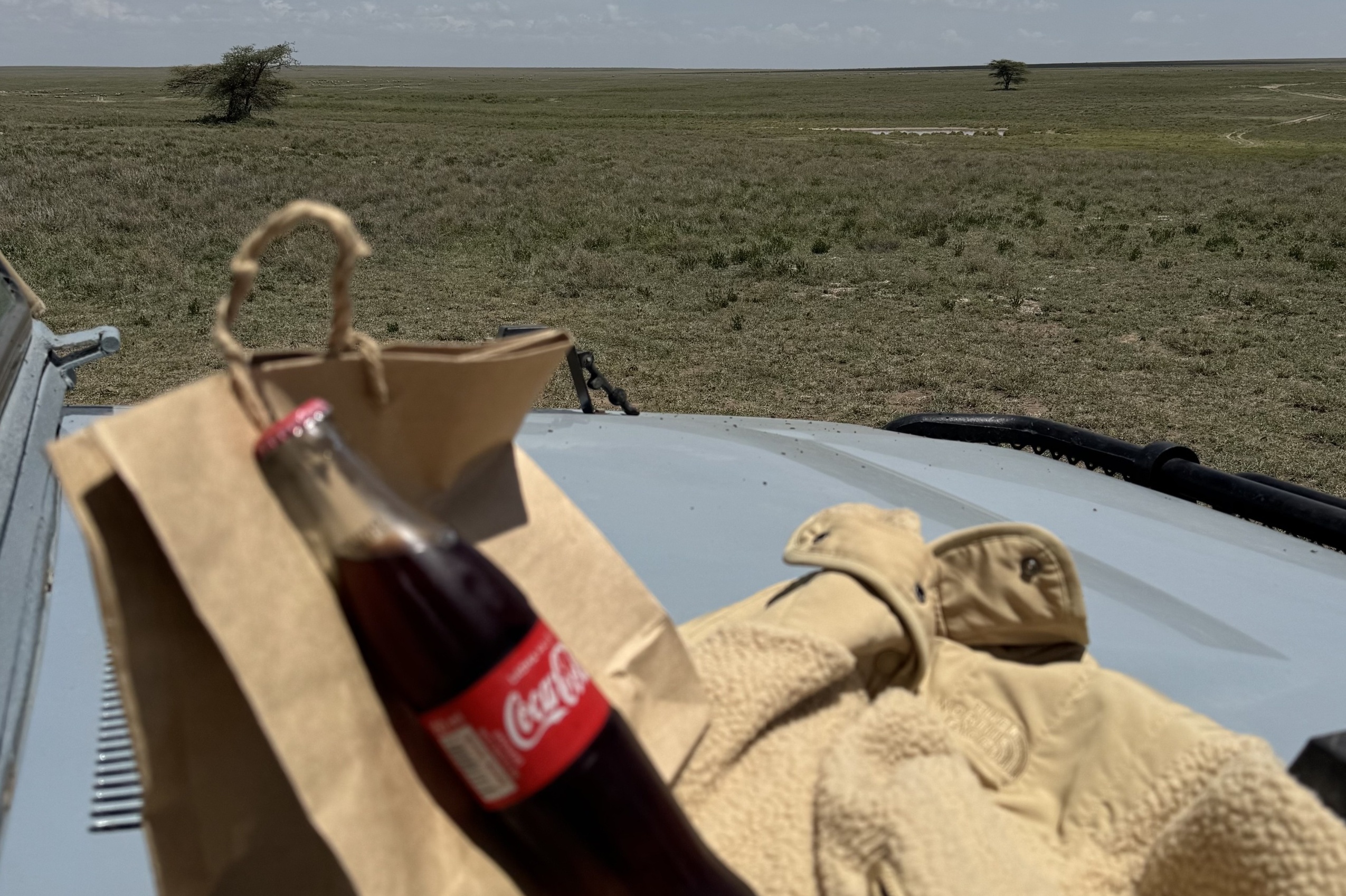 Eine Fleece-Jacke liegt auf einem Safari-Auto.