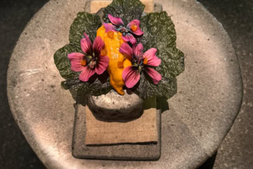 Essen auf einem Teller angerichtet im Boragó in Chile