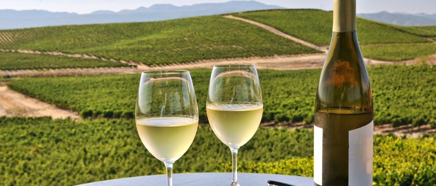 Food Reise Hinterland Malaga; Zwei Weingläser vor einem Weingut in der Nähe von Malaga