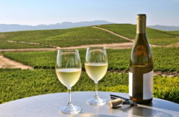 Food Reise Hinterland Malaga; Zwei Weingläser vor einem Weingut in der Nähe von Malaga