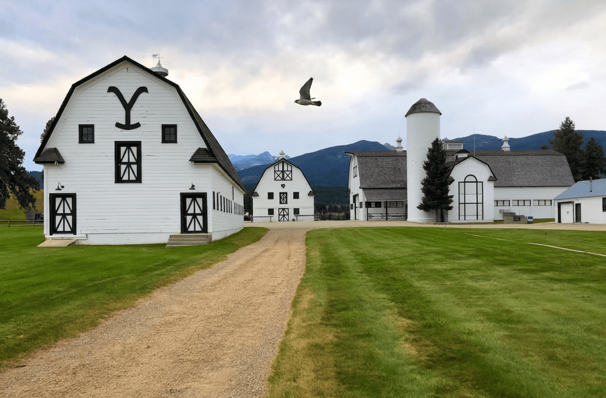Chief Joseph Ranch mit Vogel Drehort Yellowstone