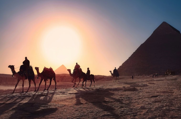 Kamele in Ägypten bei Gegensonne an den Pyramiden