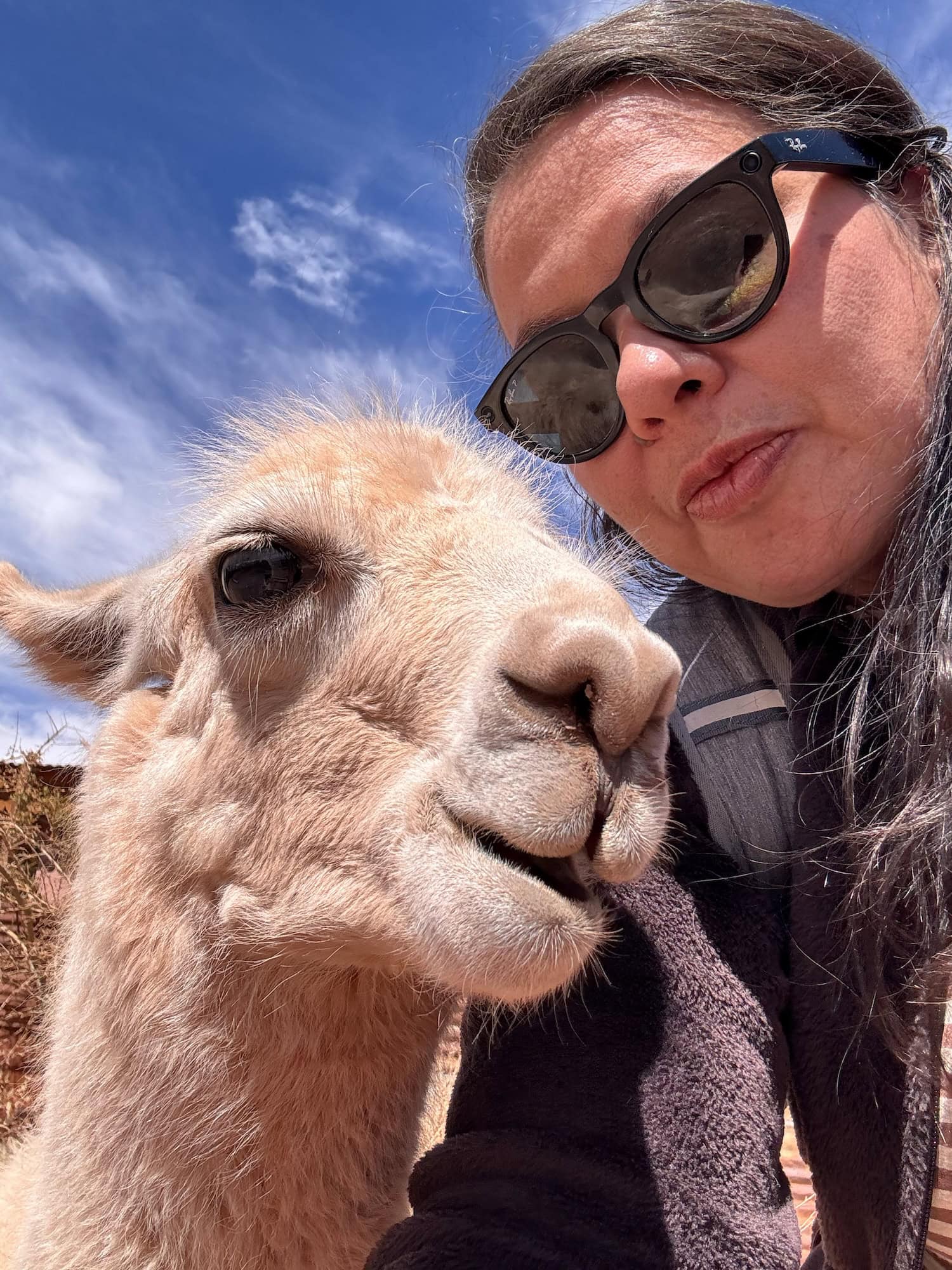 Chefredakteurin Jenny macht ein Selfie mit einem Lama in der Atacama-Wüste in Chile