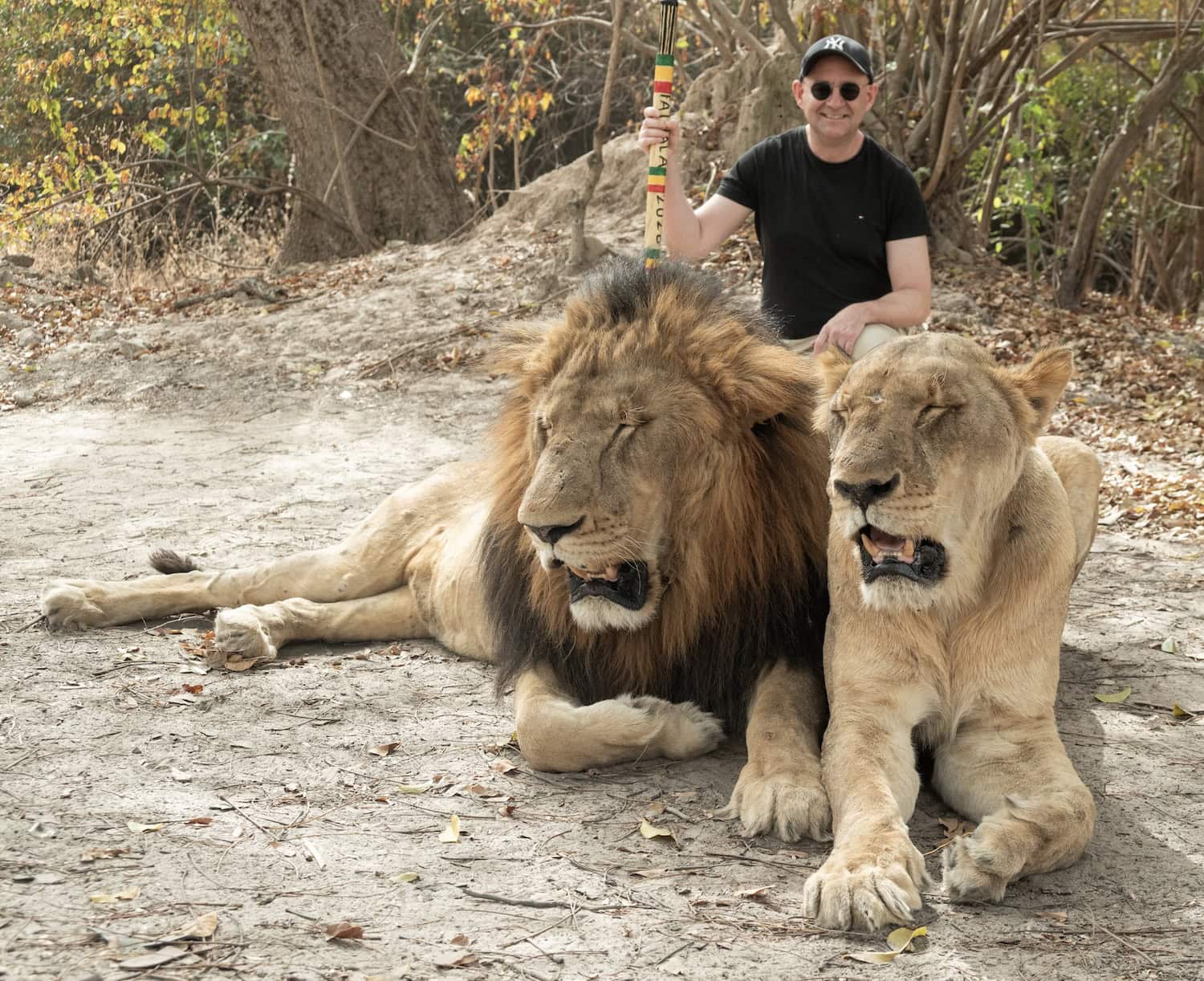 Autor Martin Wein mit einem Löwenpaar