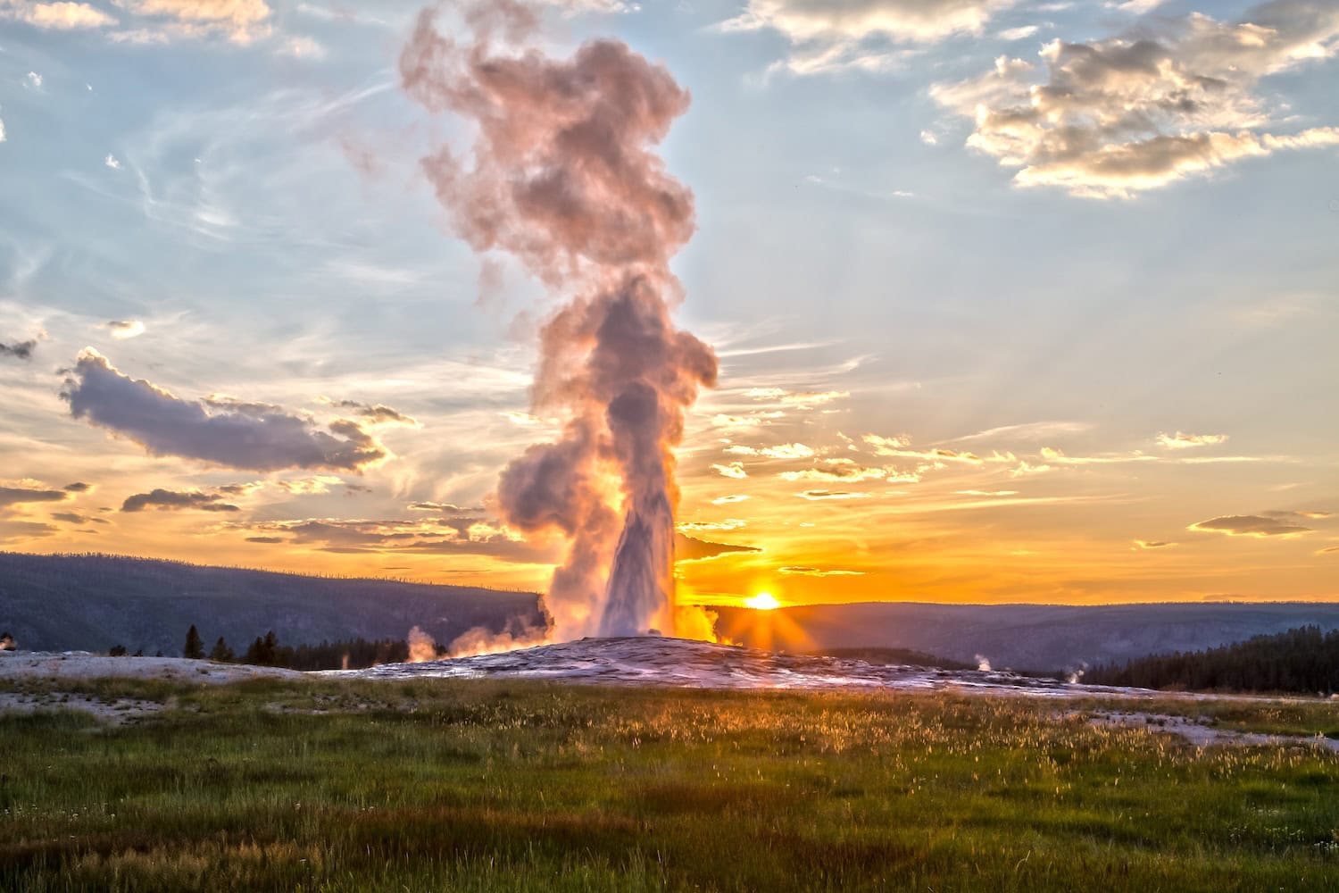 Old Faithful Geysir in der Sonne im Yellowstone Nationalpark