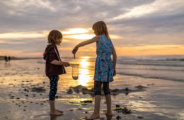 Zeeland mit Kindern: Mädchen fangen mit Kescher Meerestiere bei Sonnenuntergang