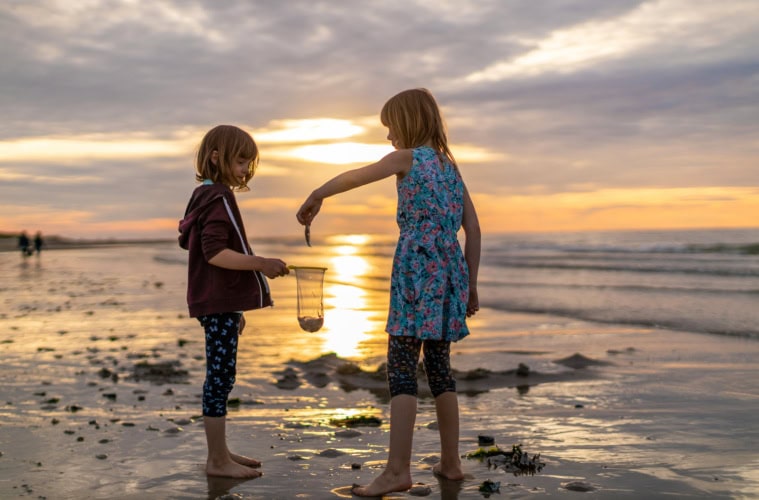 Zeeland mit Kindern: Mädchen fangen mit Kescher Meerestiere bei Sonnenuntergang