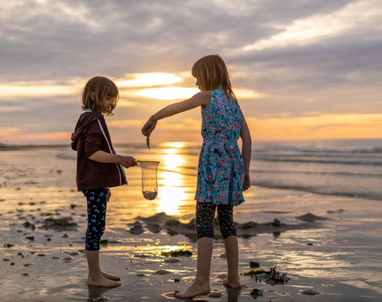 Zeeland mit Kindern: Mädchen fangen mit Kescher Meerestiere bei Sonnenuntergang