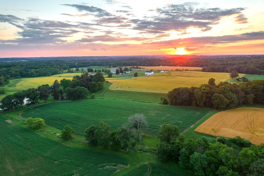 The Countryside of Philadelphia: Pilze, Pinsel, Pflanzenpracht