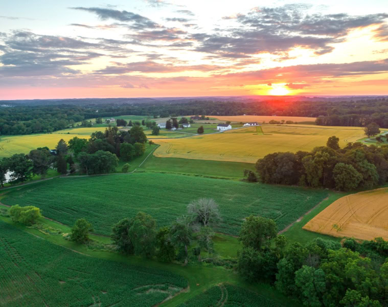 The Countryside of Philadelphia