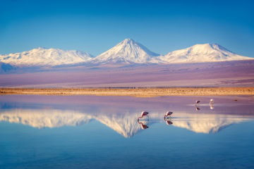 Einige Flamingos stehen in einem flachen See in der Atacama-Wüste. Am Horizont ragen die schneebedeckten Gipfel der Anden auf. Das Ufer des Sees liegt horizontal in der Mitte des Bilds, sodass die Berge sich mittig im See spiegeln.