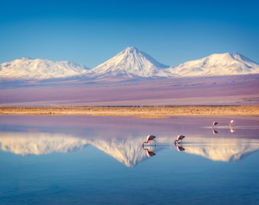 Einige Flamingos stehen in einem flachen See in der Atacama-Wüste. Am Horizont ragen die schneebedeckten Gipfel der Anden auf. Das Ufer des Sees liegt horizontal in der Mitte des Bilds, sodass die Berge sich mittig im See spiegeln.